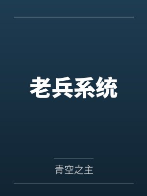 老兵系统