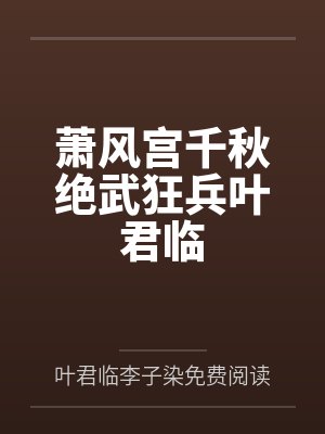 萧风宫千秋绝武狂兵叶君临