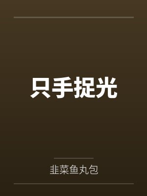 只手捉光