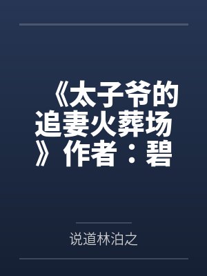 《太子爷的追妻火葬场》作者：碧云天
